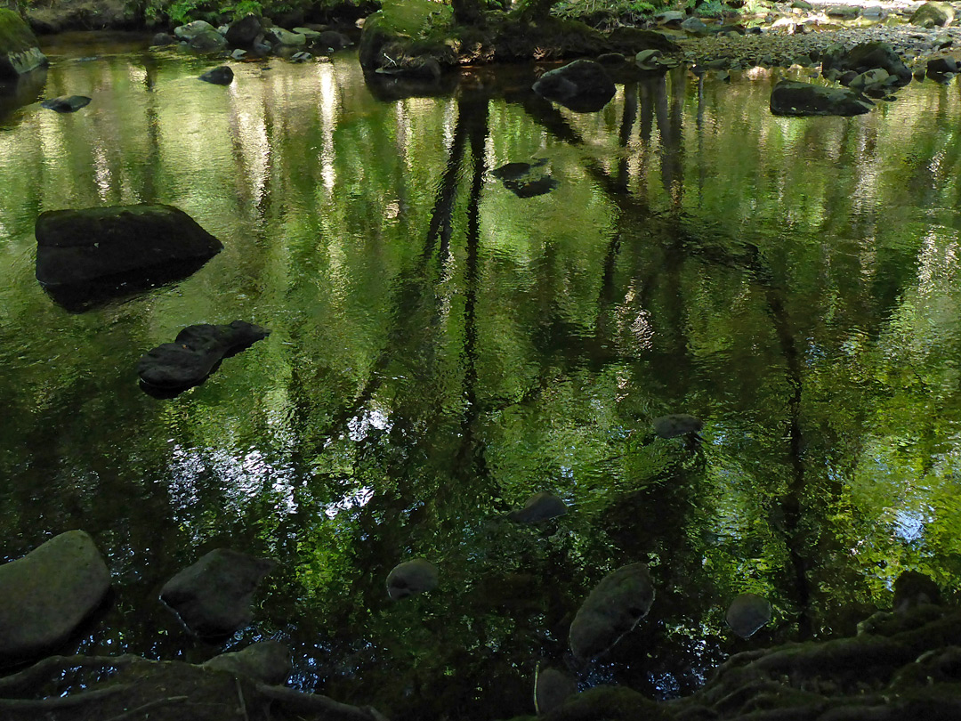 Calm water