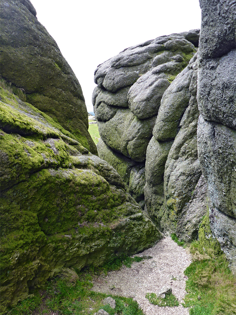 Lichen-covered rocks