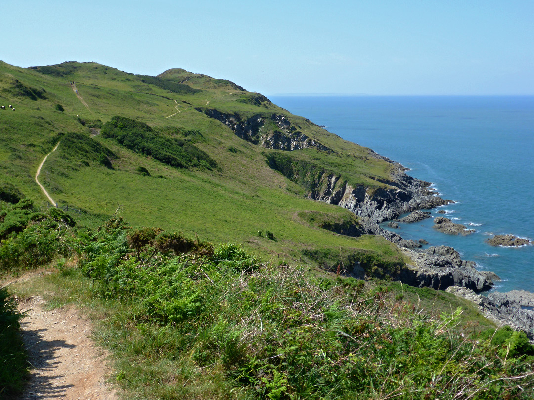 Grassy slopes