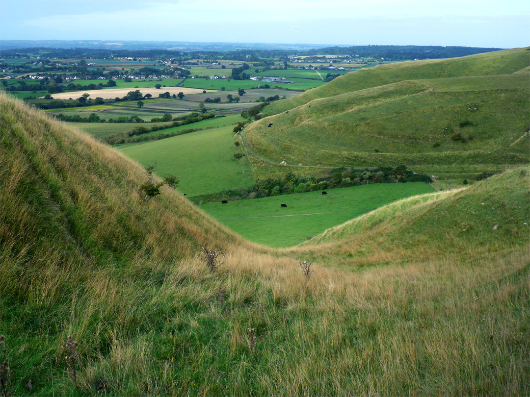 Grassy slopes