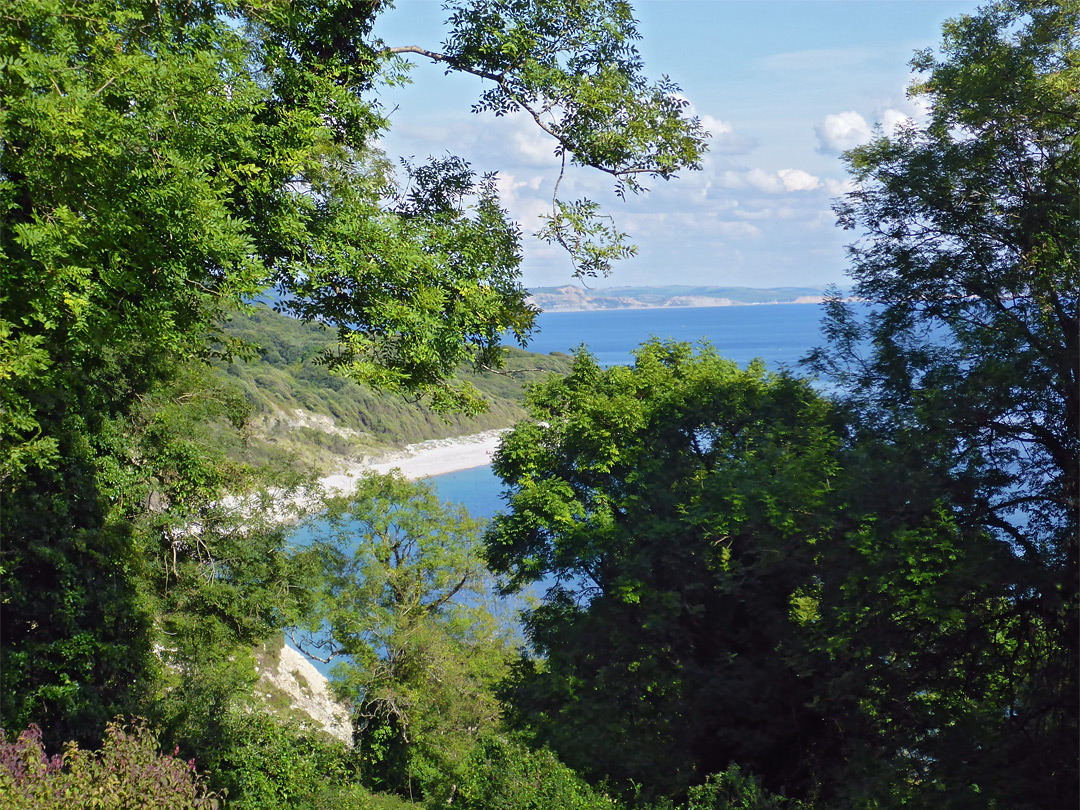 Above the Rousdon Cliffs