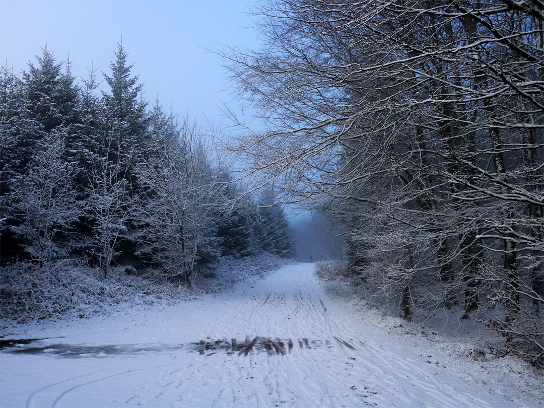 Snowy track