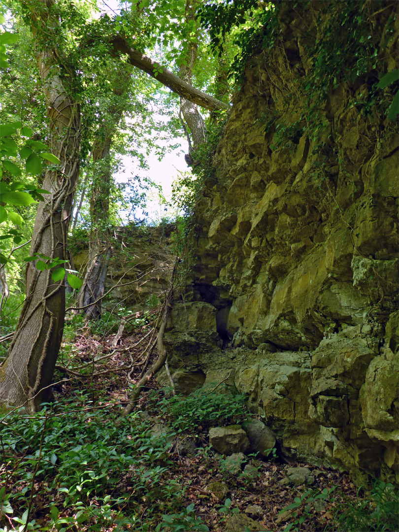 Cliff face