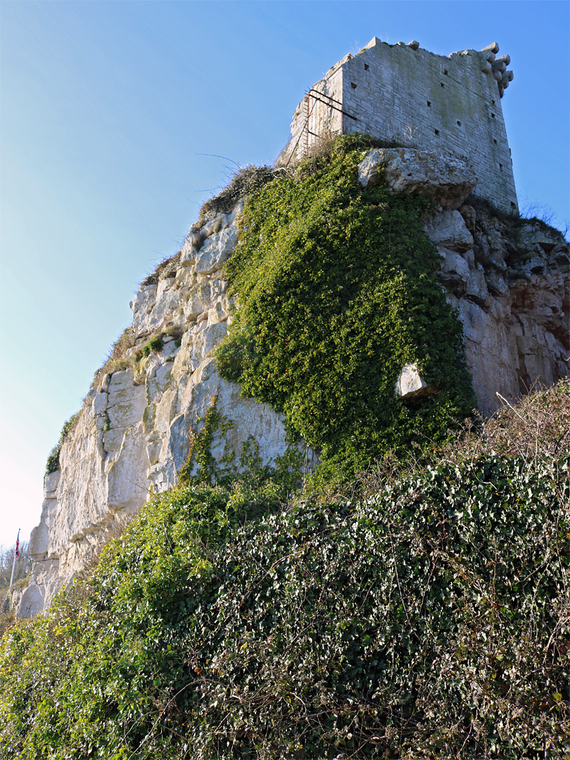 Ivy-covered cliffs