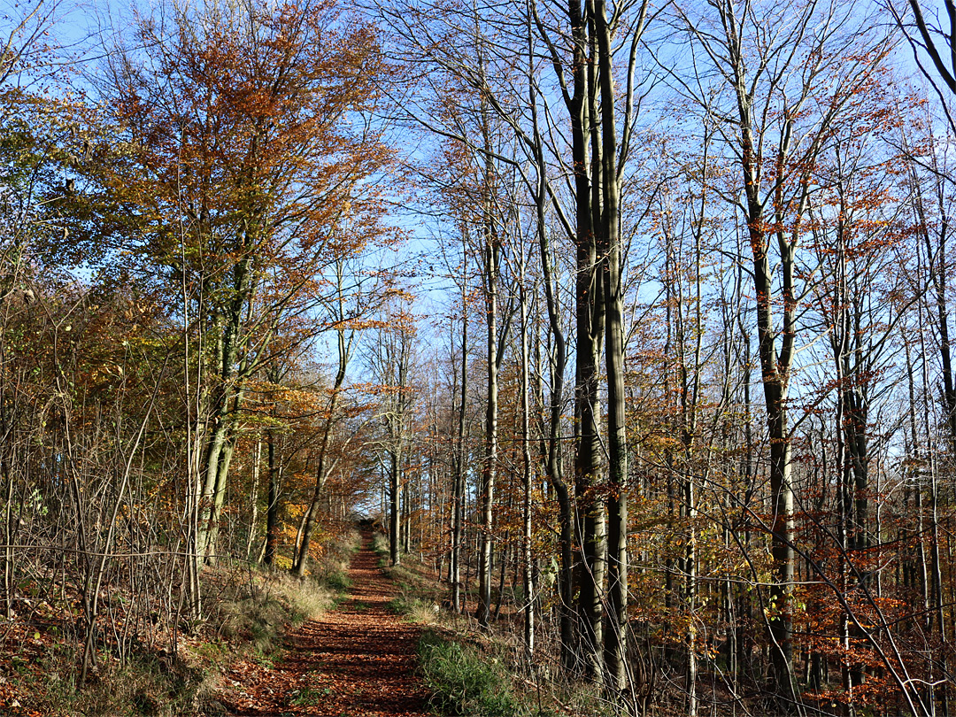 Path to a ridge