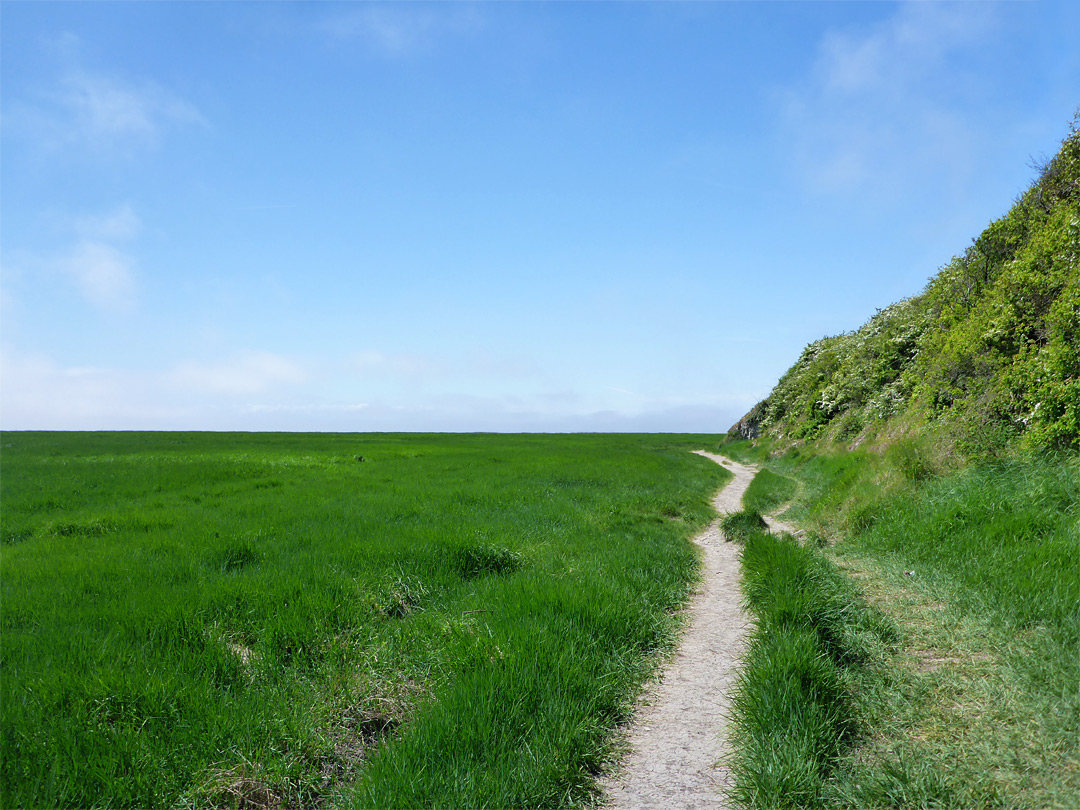 Path across grassland