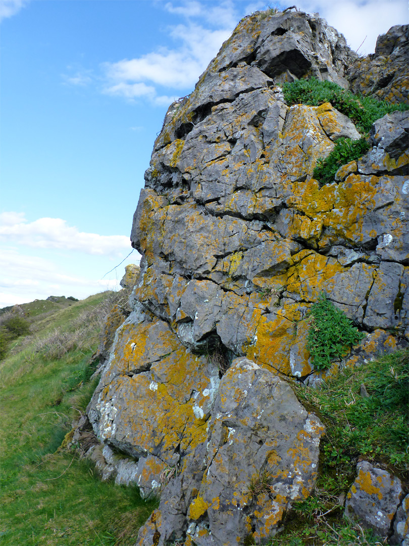 Rock with lichen