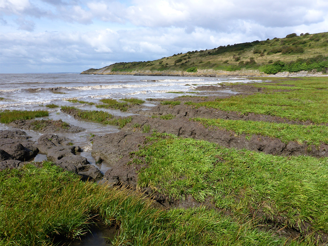 Muddy shoreline