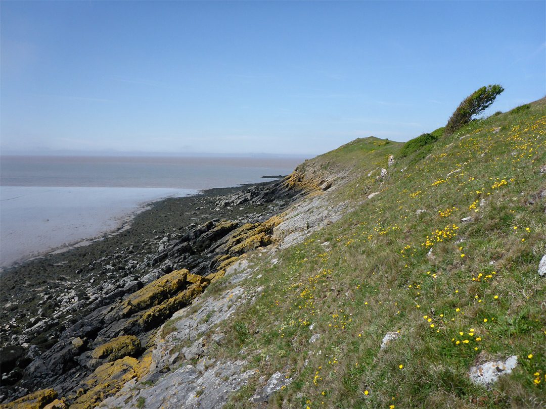 Grassy slopes