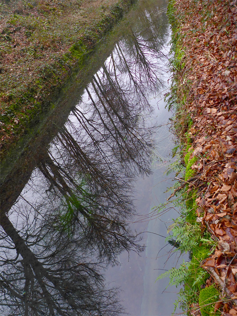 Reflections