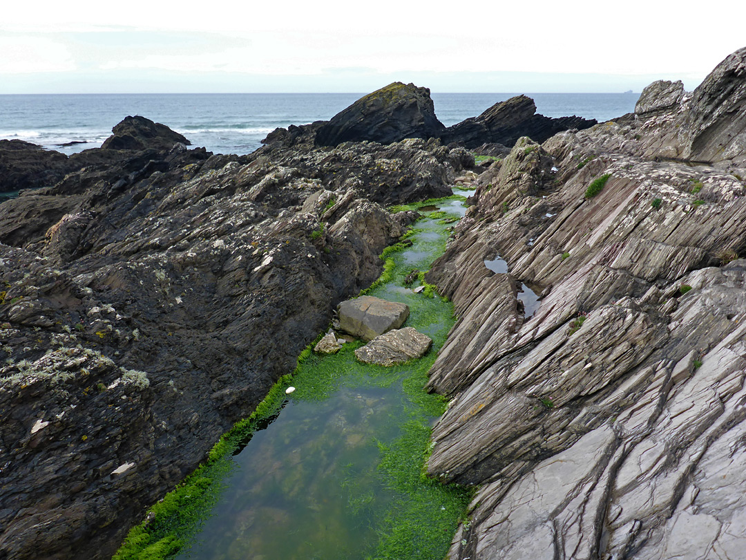 Channel near Searush Cove