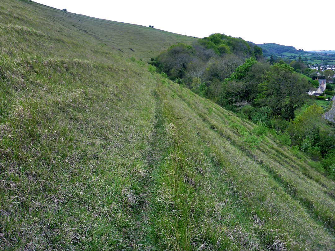 Grassy escarpment