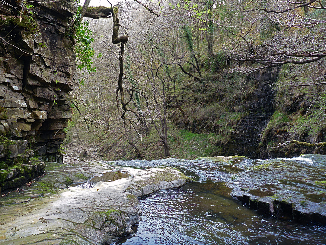 Cliff and bench