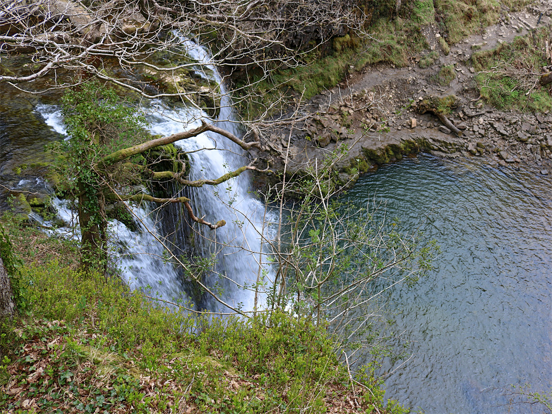 Pool below the falls