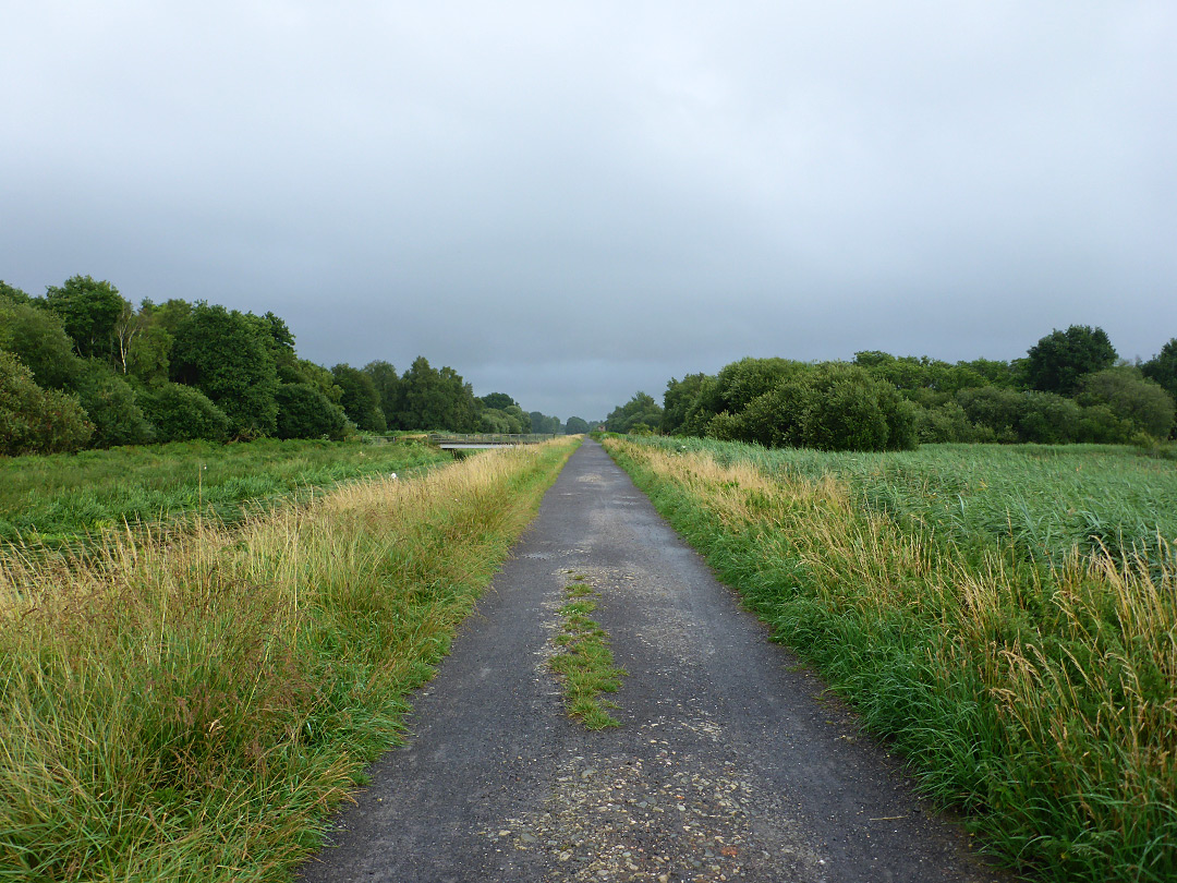 Old railway - east