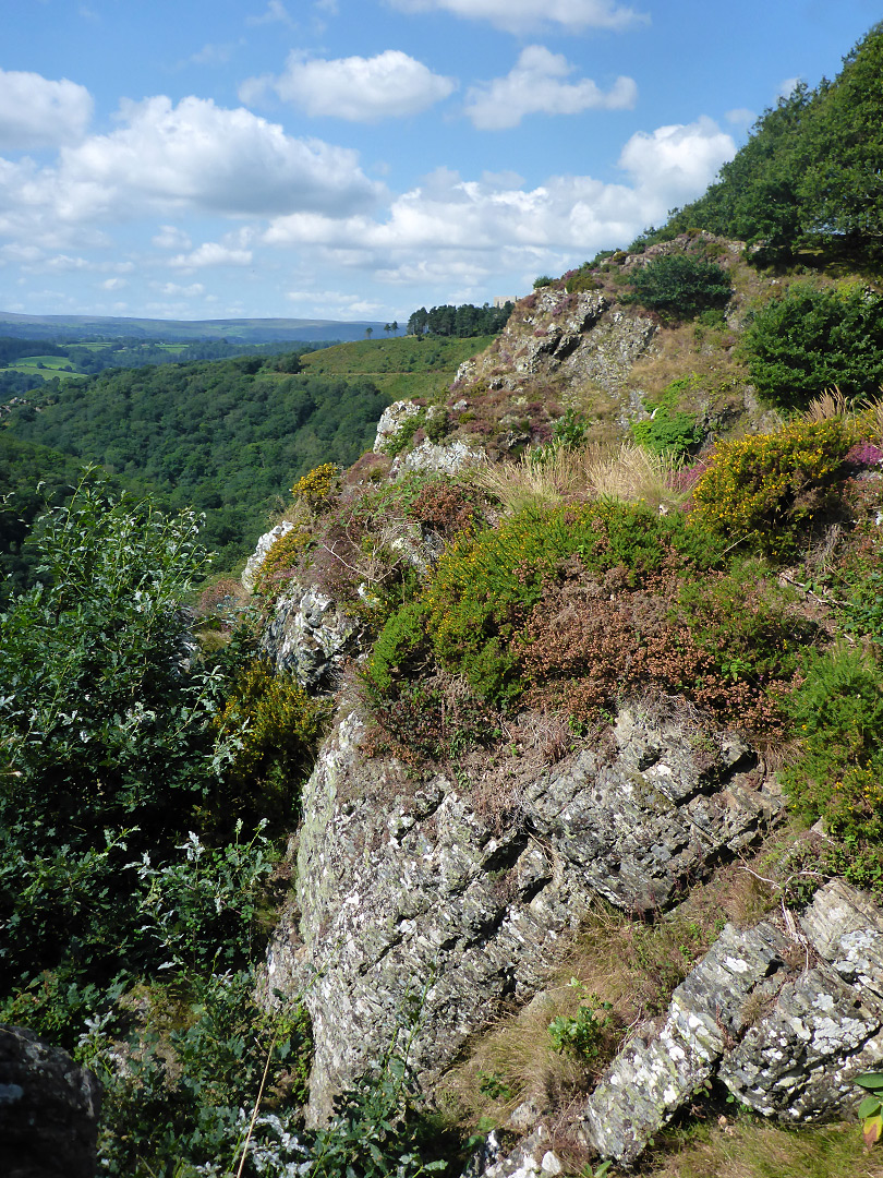 Sharp Tor