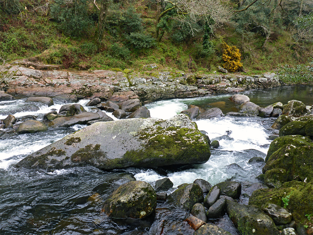 Boulders and benches