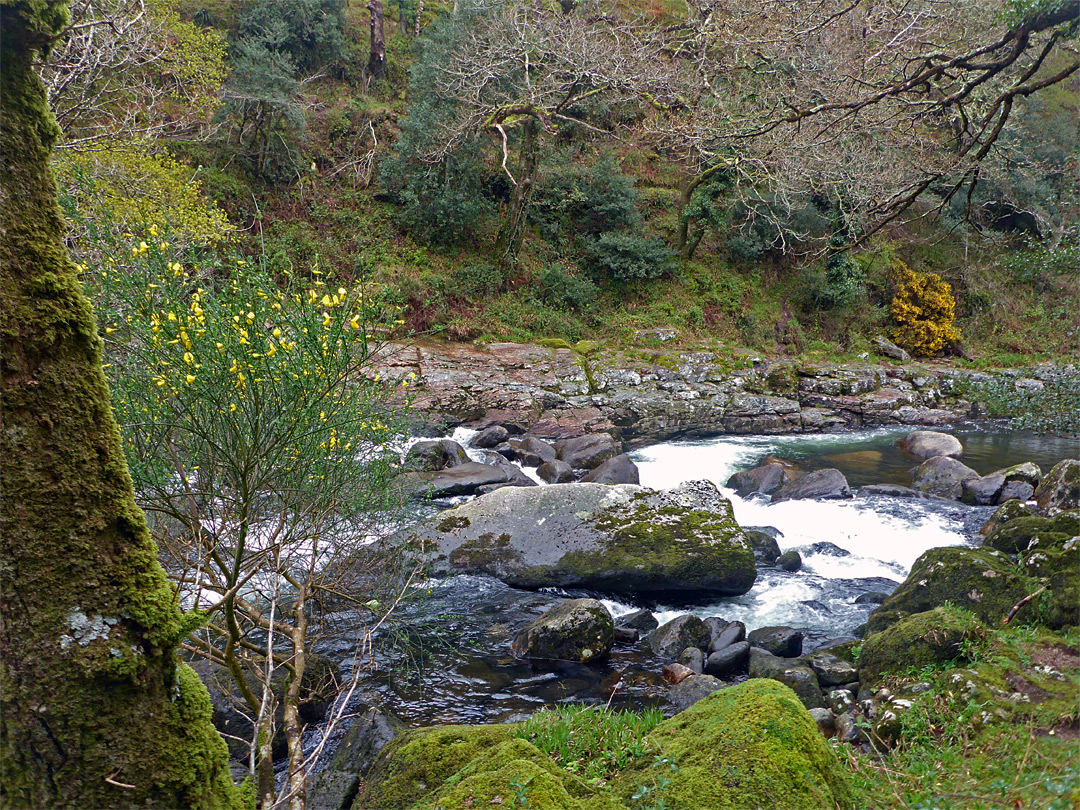 Upstream of Sharrah Pool