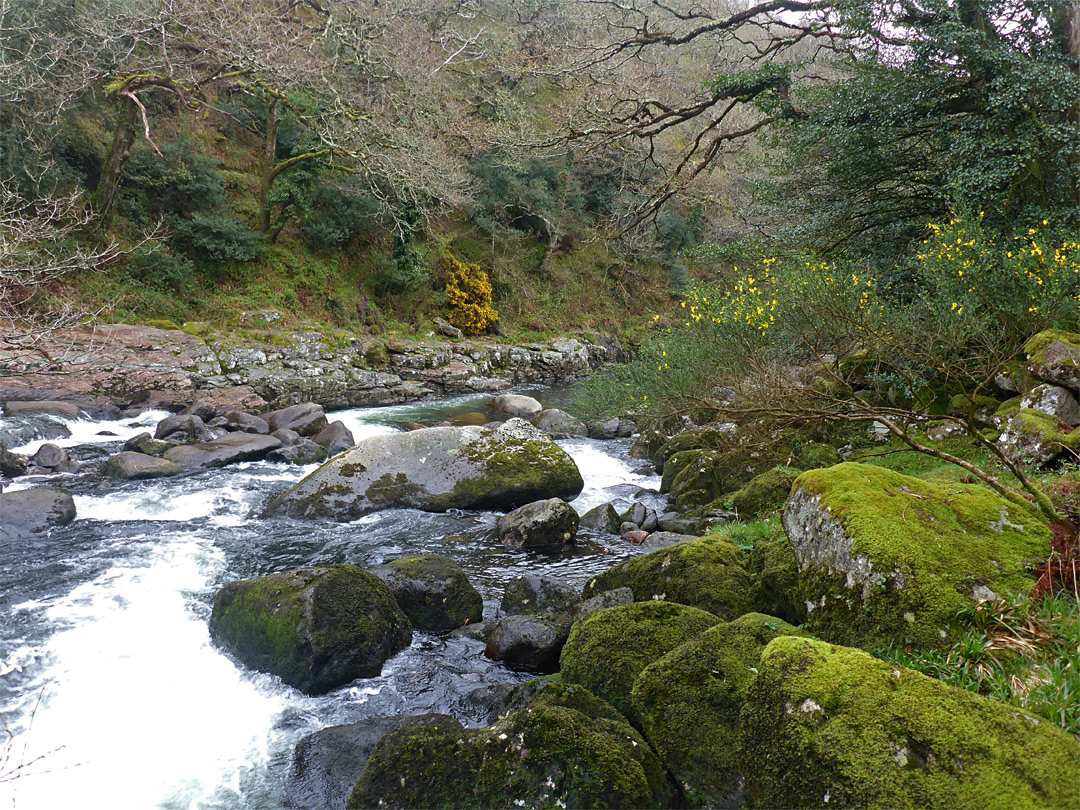 Boulders beside a cascade