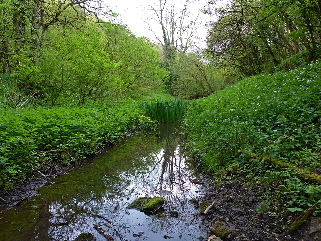 Disused canal