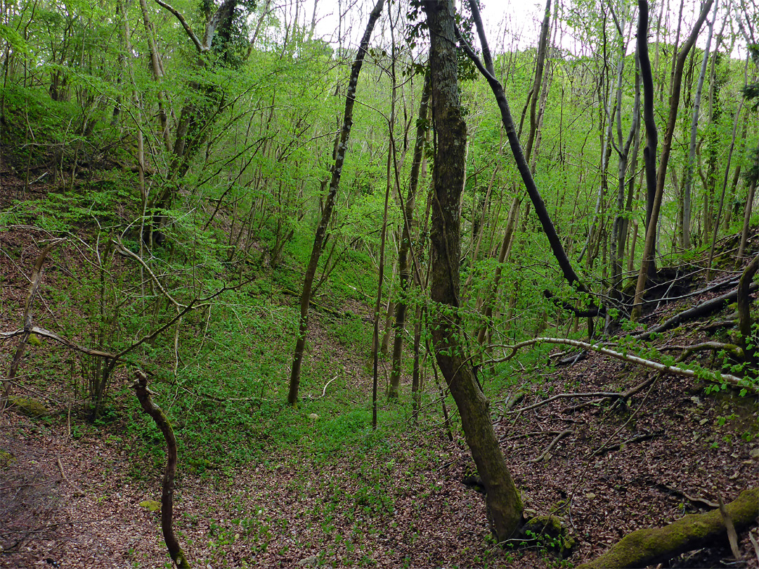 Quarry entrance