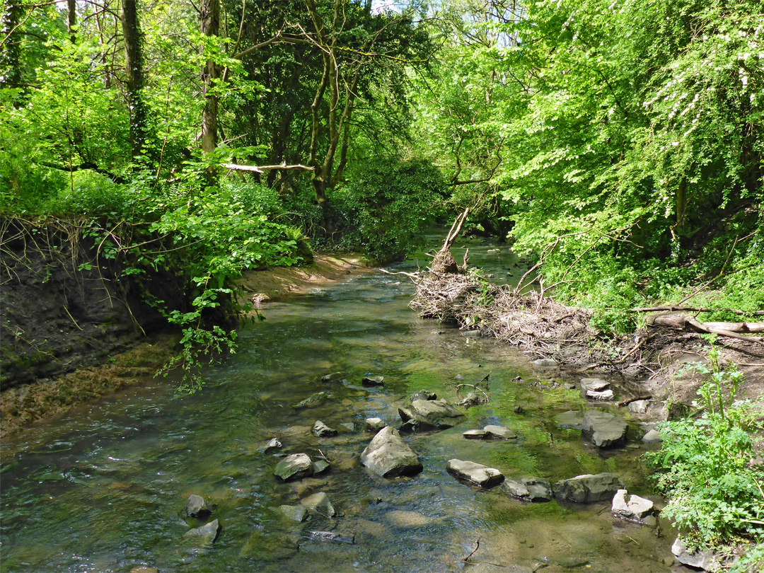 Siston Brook