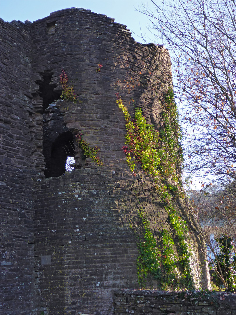 Ivy on the southwest tower