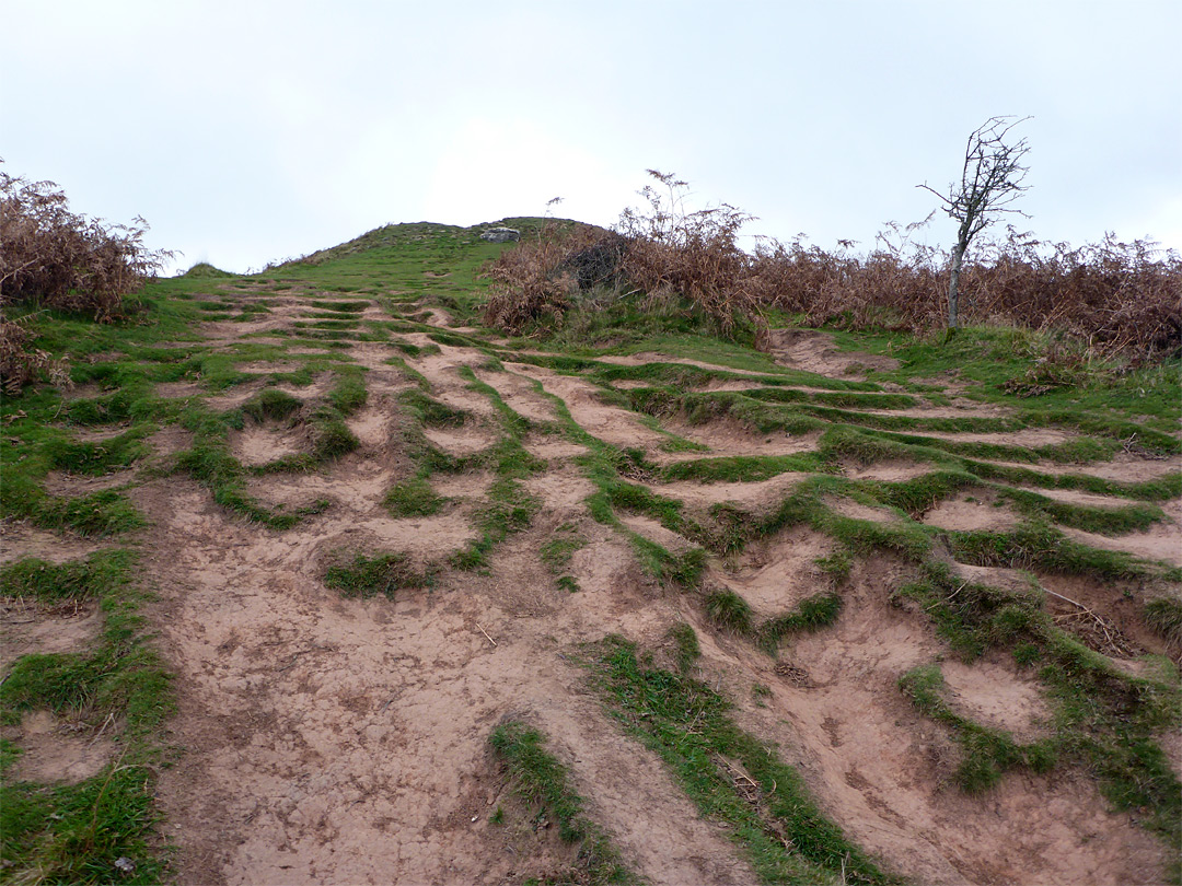 Erosion along the trail