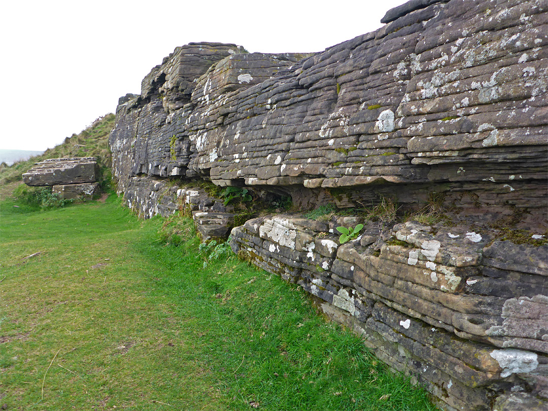 Weathered rocks