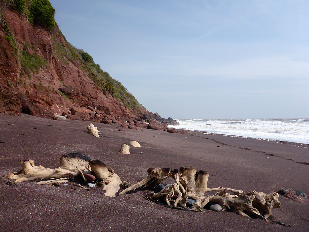 Driftwood