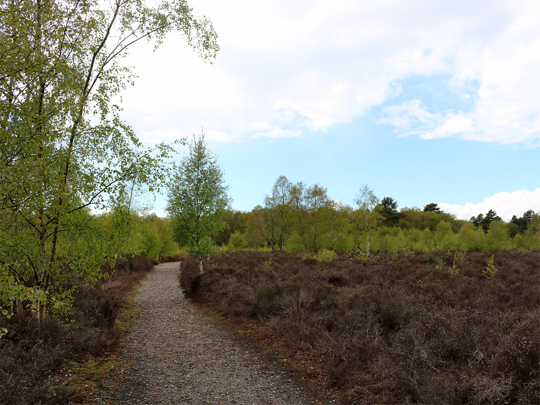 Gravel track