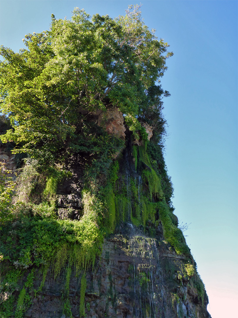 Mossy cliff