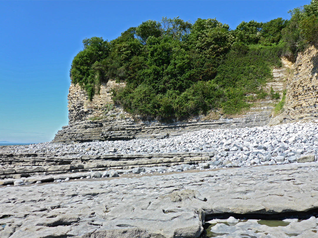 Overgrown cliffs