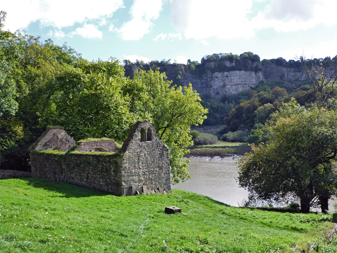 The churchyard