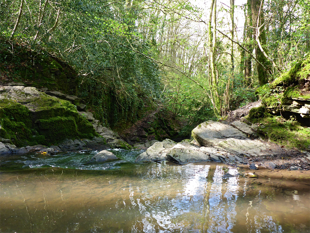 Shallow pool