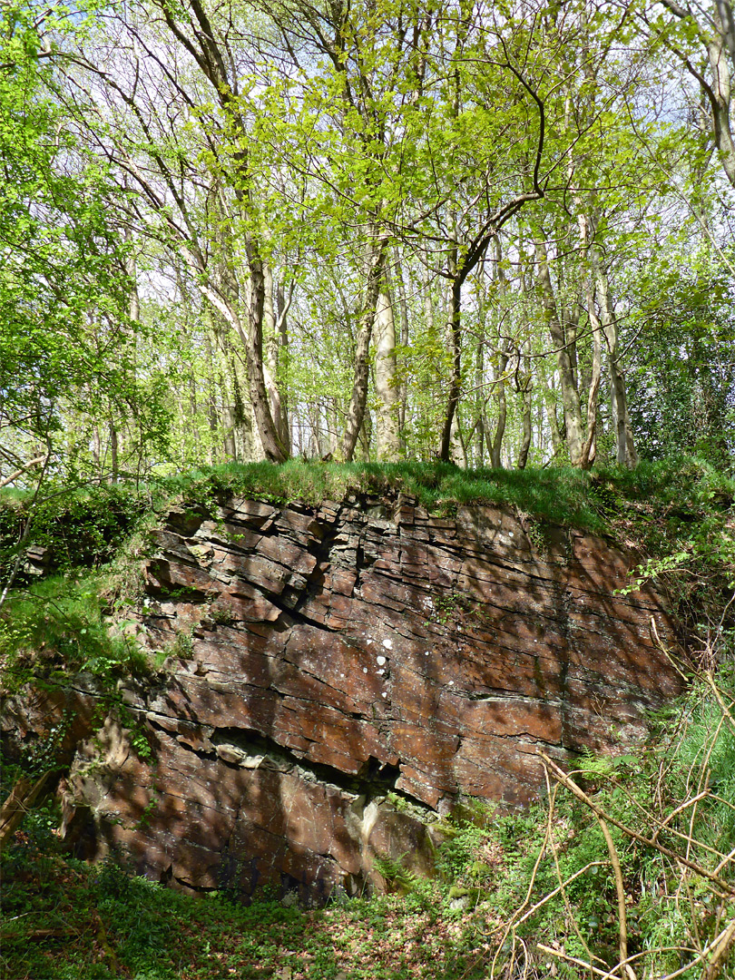 Sandstone outcrop