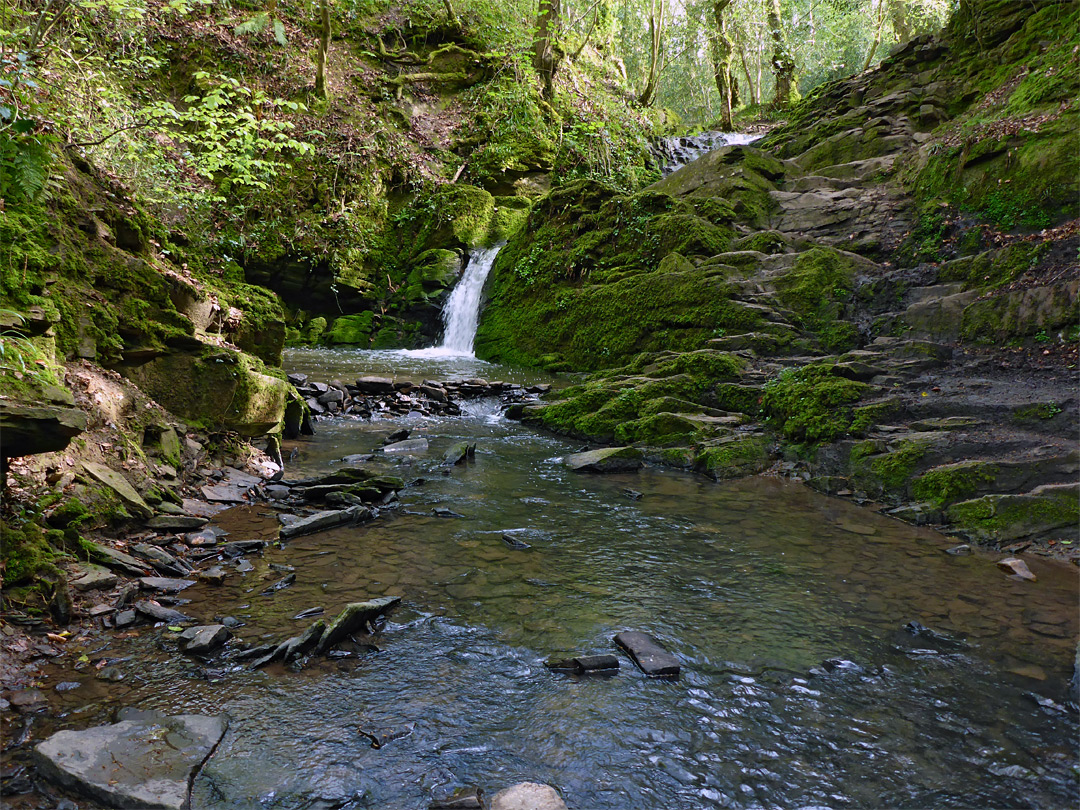 Rocks in the stream