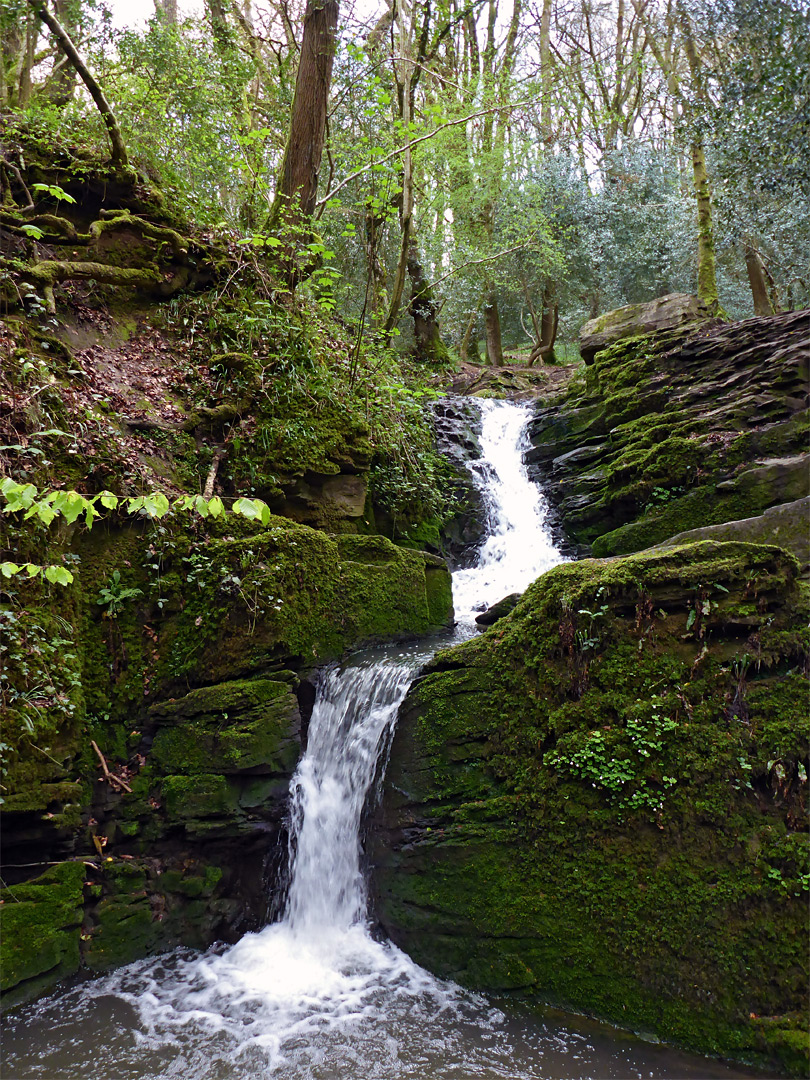 Waterfall and pool