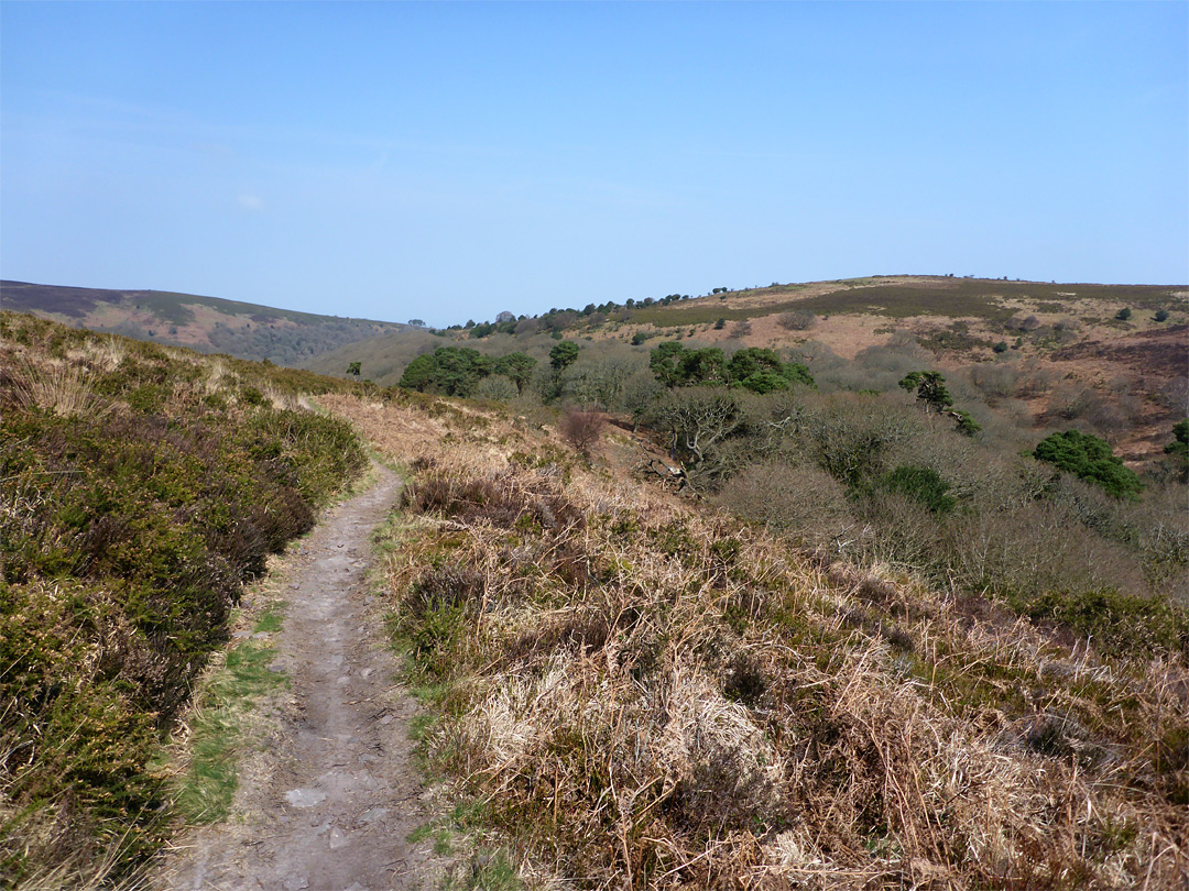 Moorland path