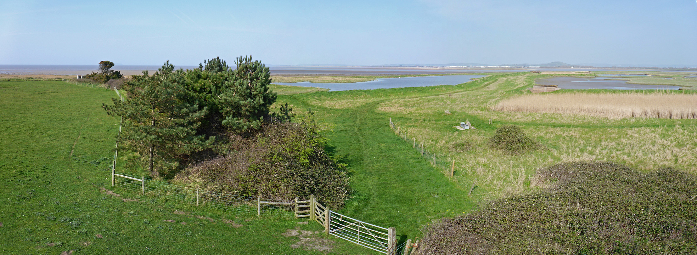View from the tower hide