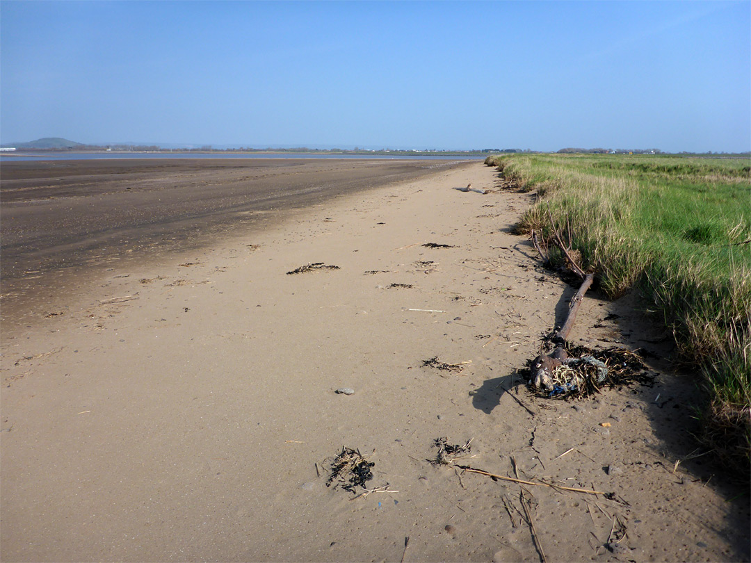 Sand and grass