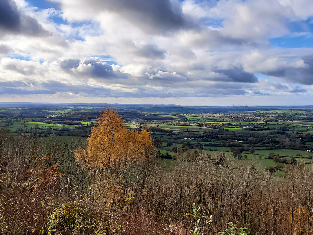 Severn Vale