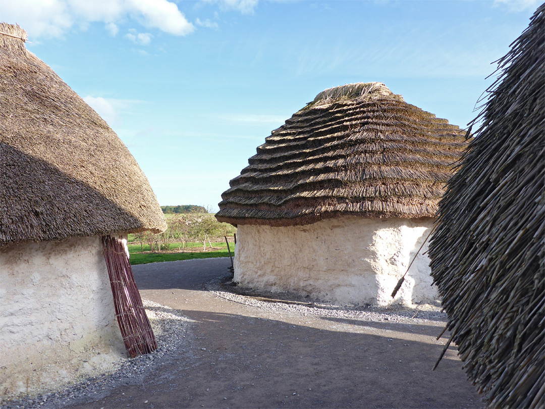 Reconstructed Neolithic houses