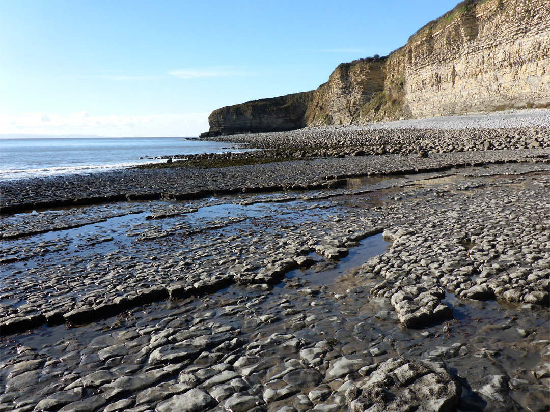 East of Stout Point