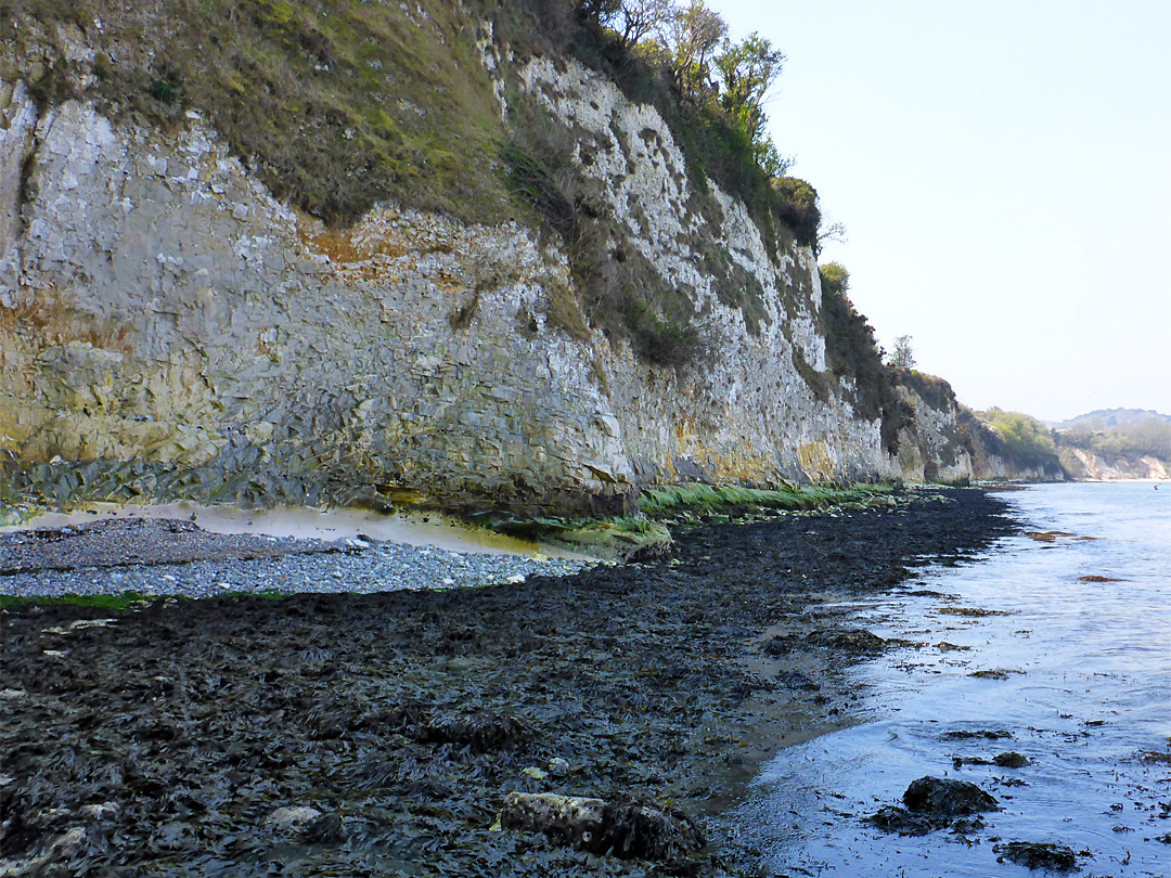 Cliffs east of Studland