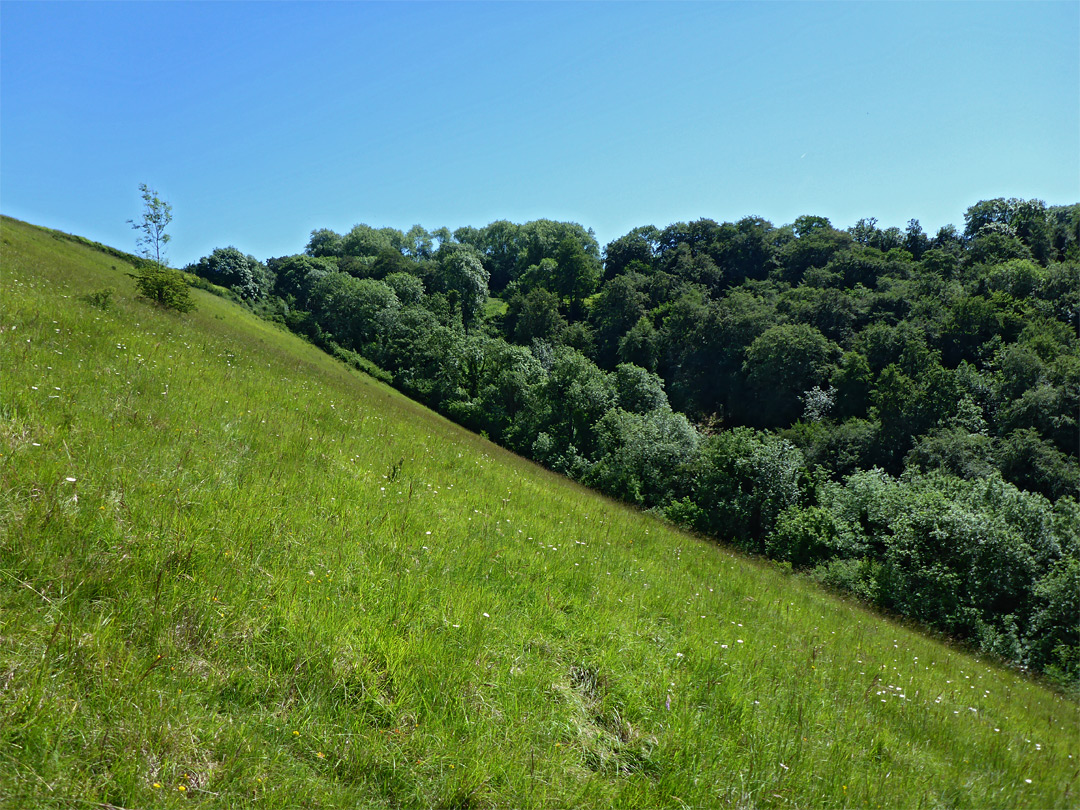 Steep hillside