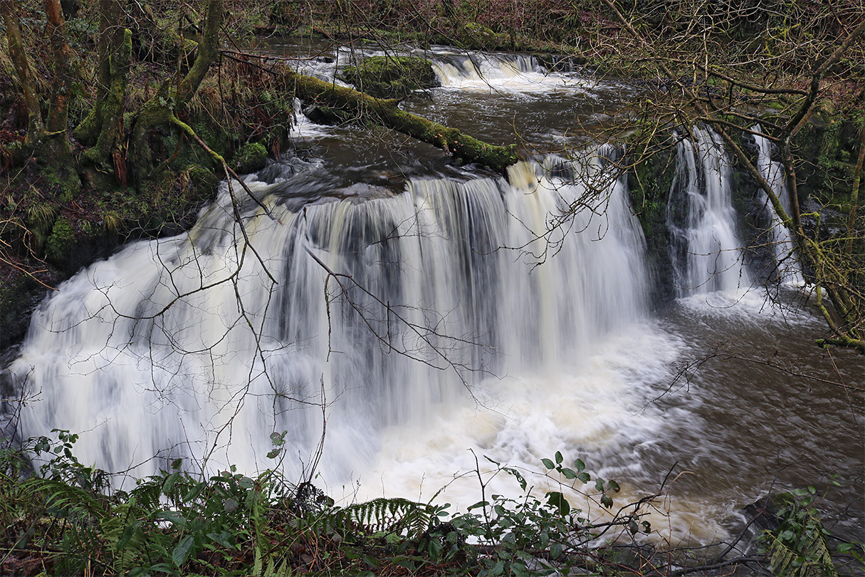 Curtain falls