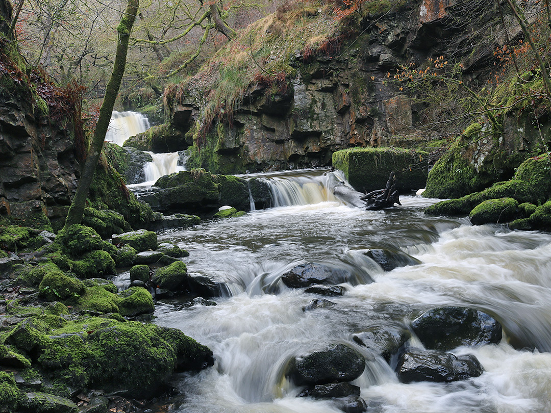 Sequence of falls