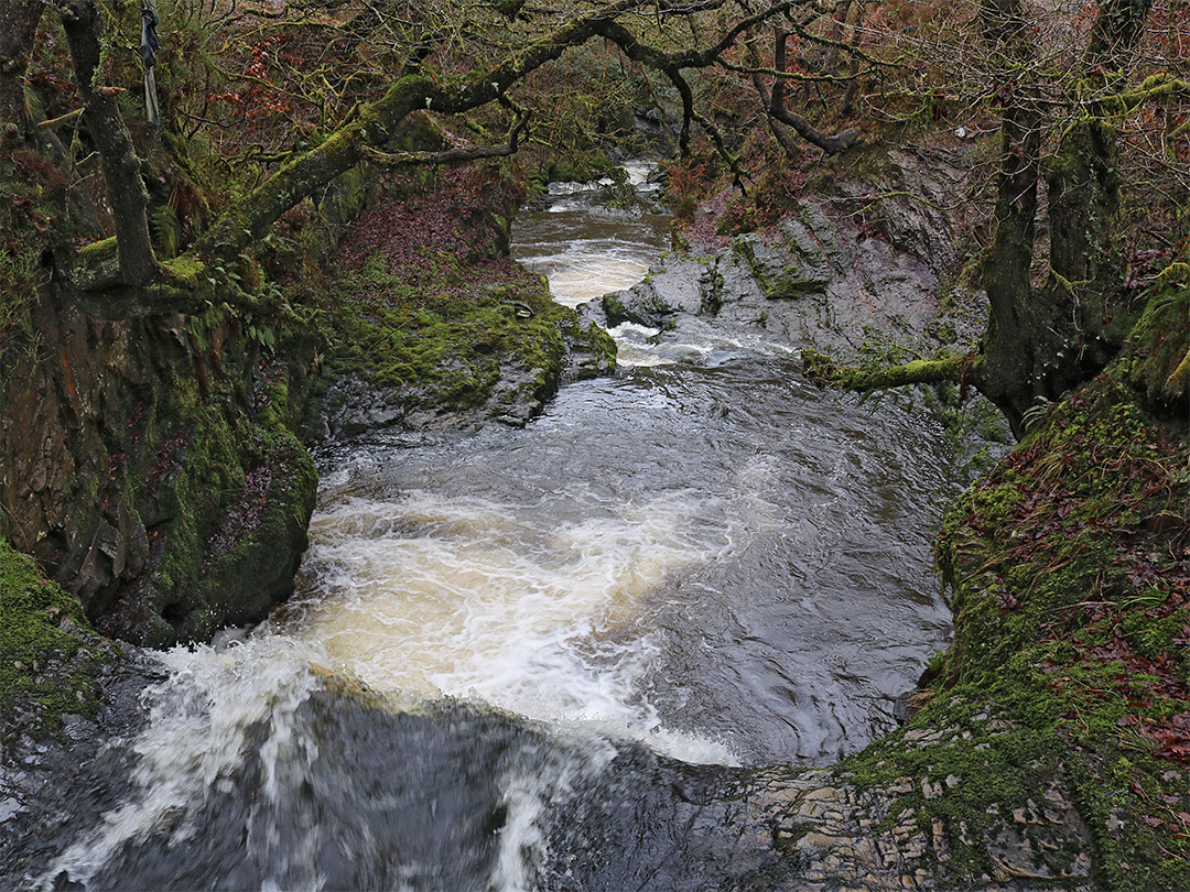 Downstream of the footbridge