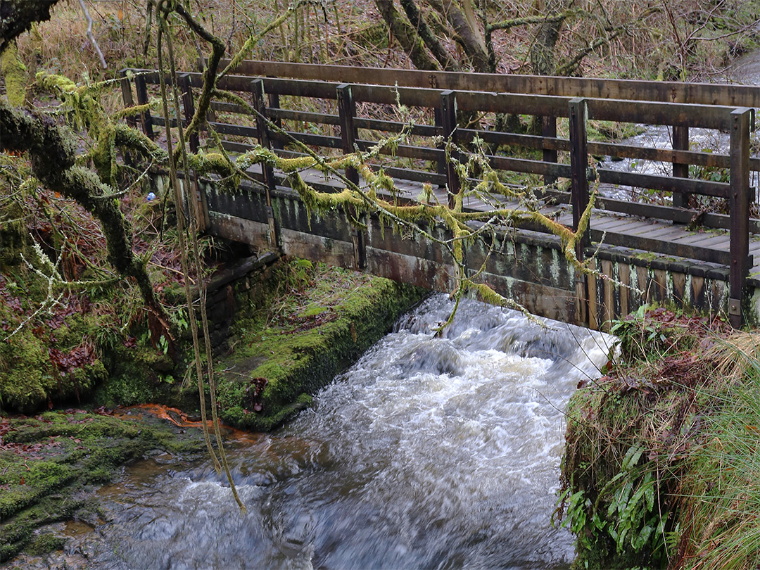 Footbridge over the river